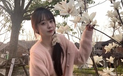 宁景墨棠晗雪小说